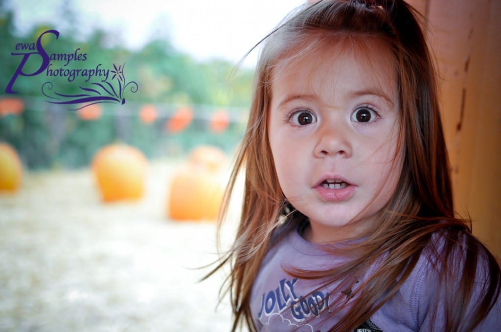 ewa samples, pumpkin patch, kids photography 1, san jose