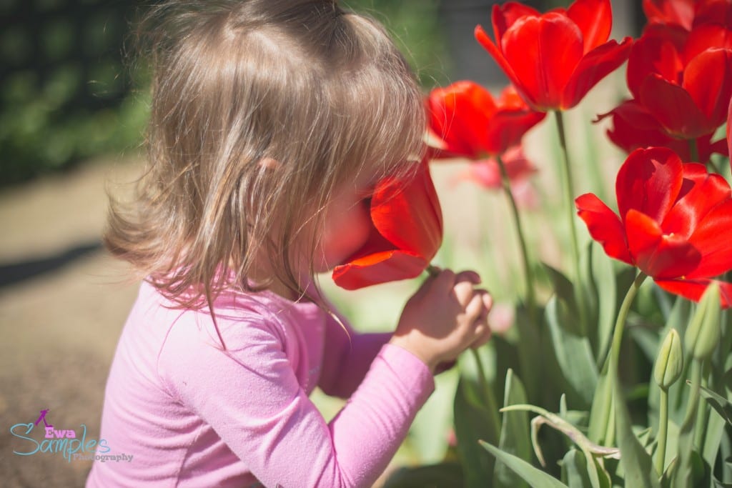 kids photography, mini session, spring season, bay area, san jose photography, ewa samples-3