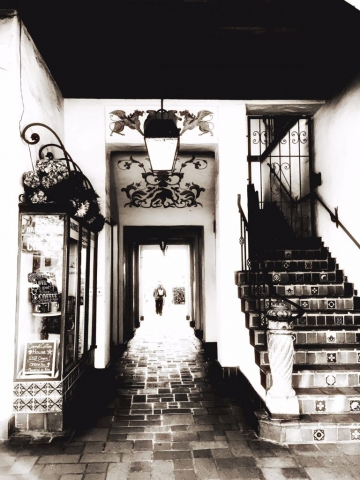 Winter Break Morgan Hill Family Photographer Ewa Samples