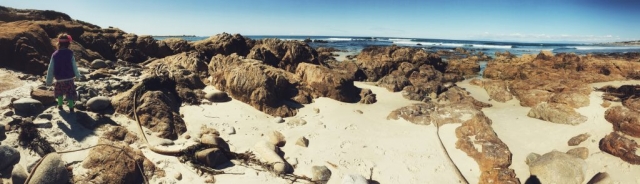 17 drive mile Carmel Family Photographer Ewa Samples iPhone Photography