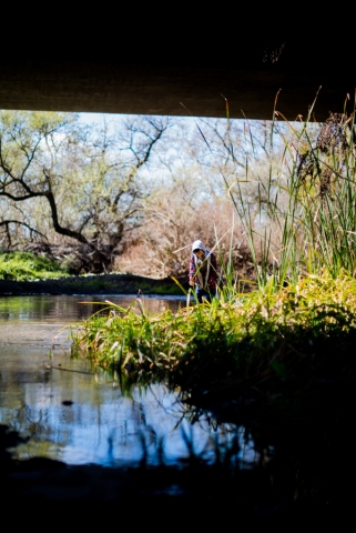coyote creek trail morgan hill ewa samples photography