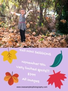 Fall MINI SESSIONS November 9th Limited spots!!! $399 All images (1)