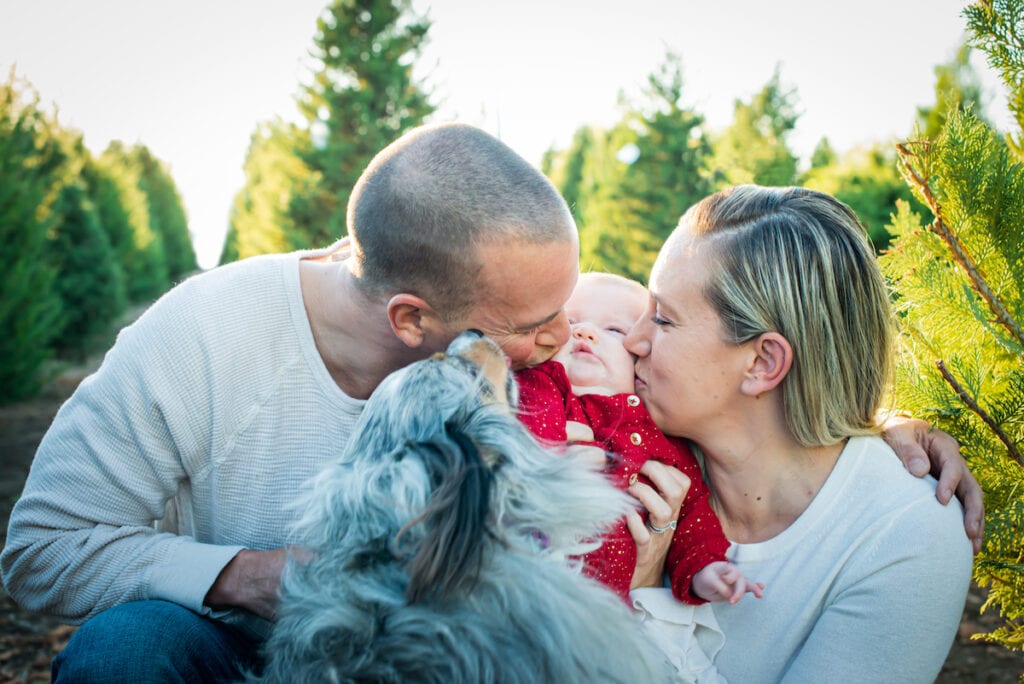 dog friendly family photographer, san jose, ewa samples