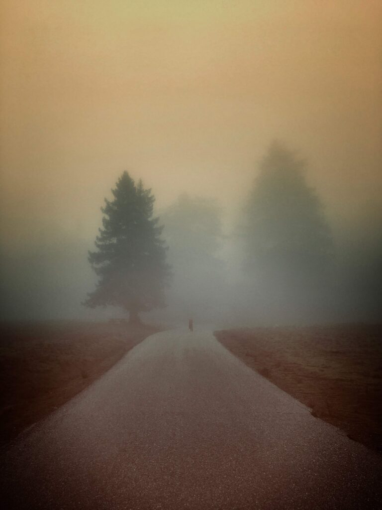 Photography in fog